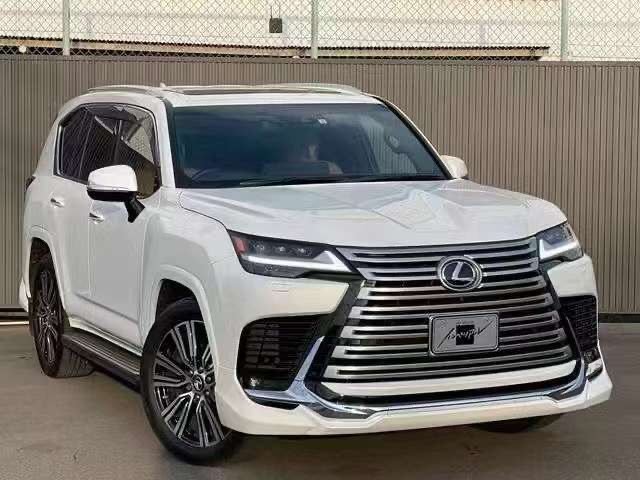 Bodylip lx600